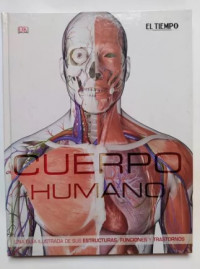 CUERPO HUMANO