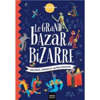 LE GRAND BAZAR DU BIZARRE