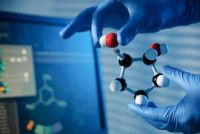 PROCESOS DEL SABER QUIMICA