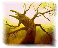 RAICES GENEALOGICAS EN EL RIO SINU Y SABANAS